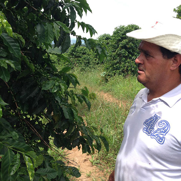 Nobletree Coffee Dromedaire Cuveé
