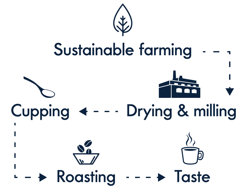 Sustainable Farming Infographic