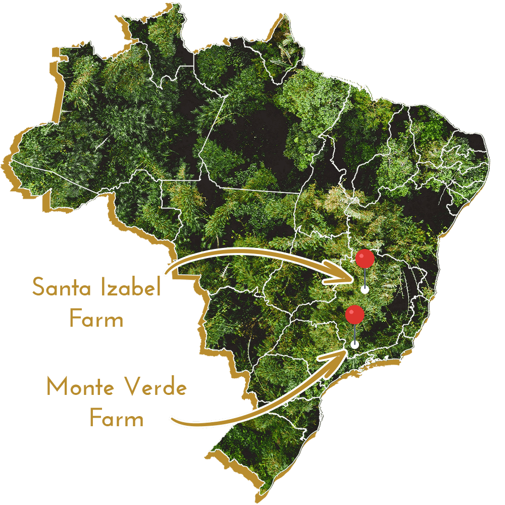 Map of Brazil