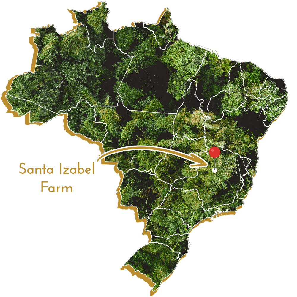 Map of Brazil