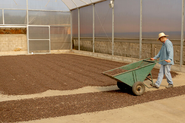 Nobletree Coffee Farmer